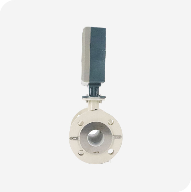 Electromagnetic BTU Meter