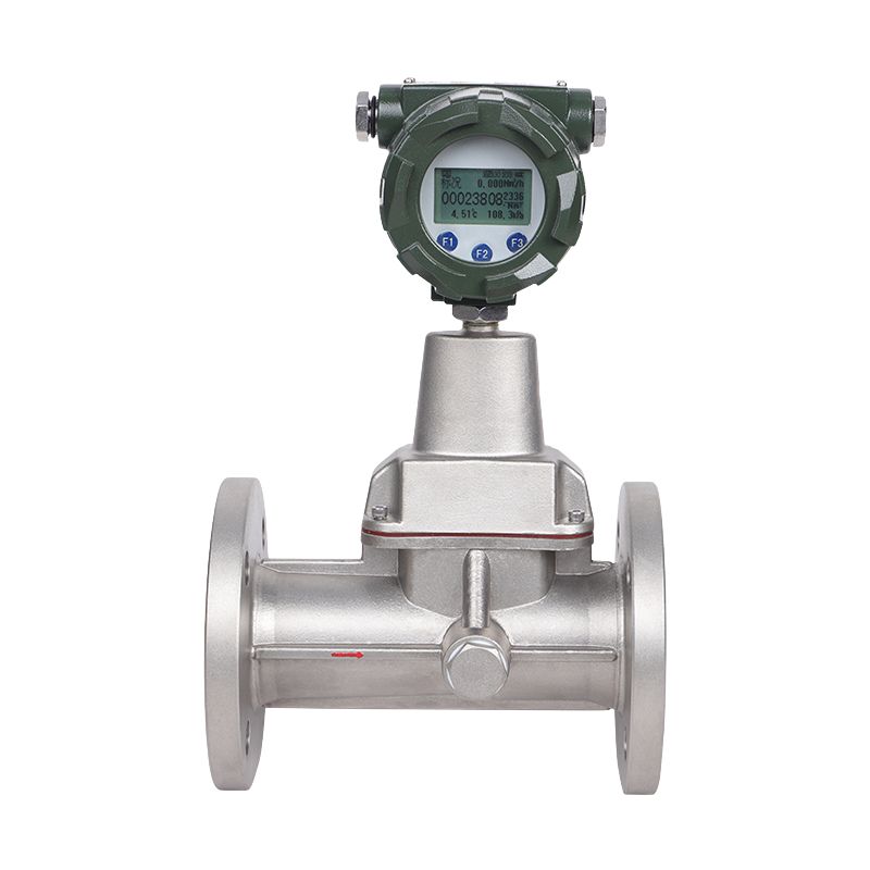 Precession Vortex Flowmeter